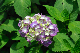 image0332