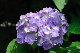 image0334