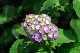image0335