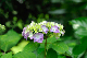 image0340