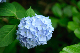 image0341