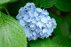 image0342