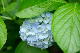 image0343