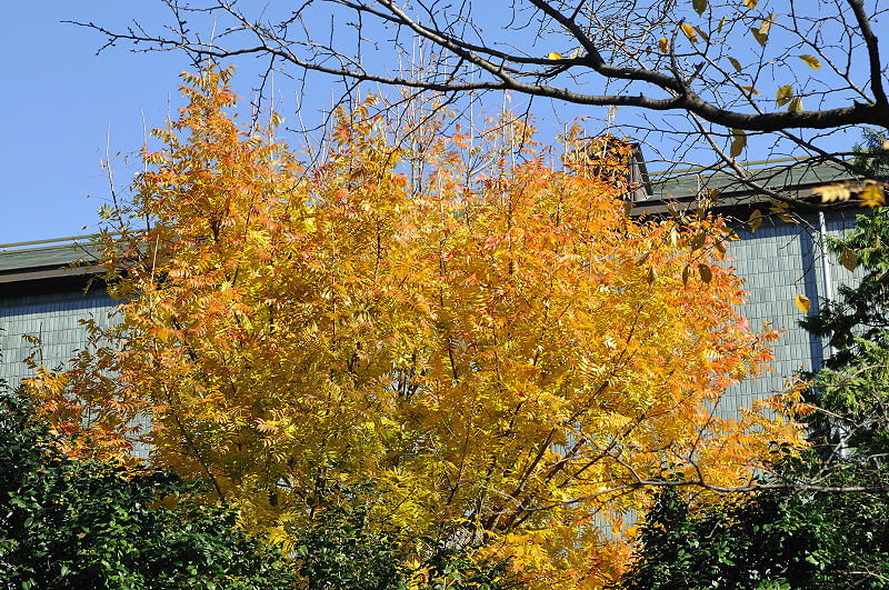 image0124