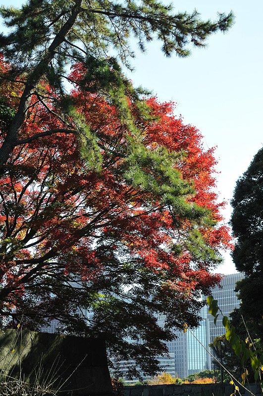 image0134