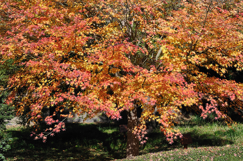 image0173