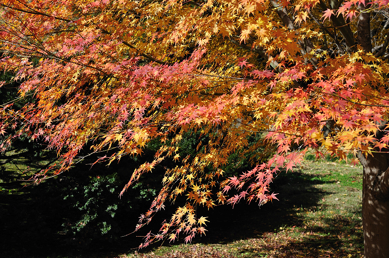 image0177