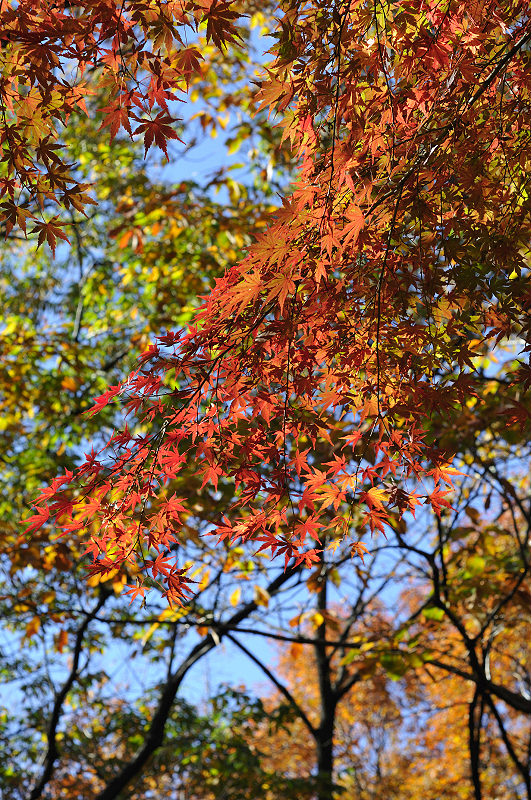 image0204