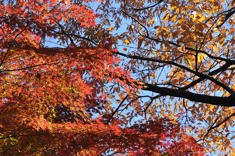 image0211
