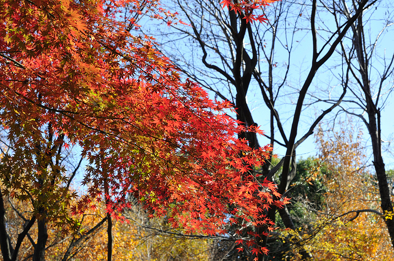 image0212