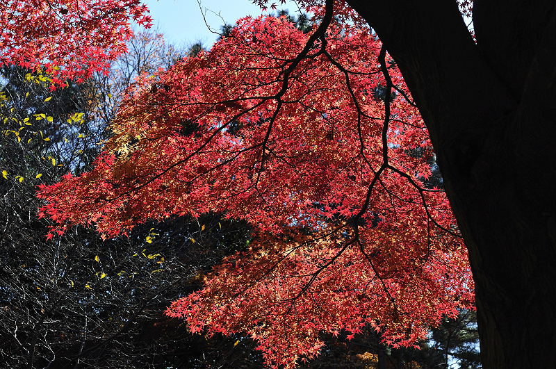 image0218