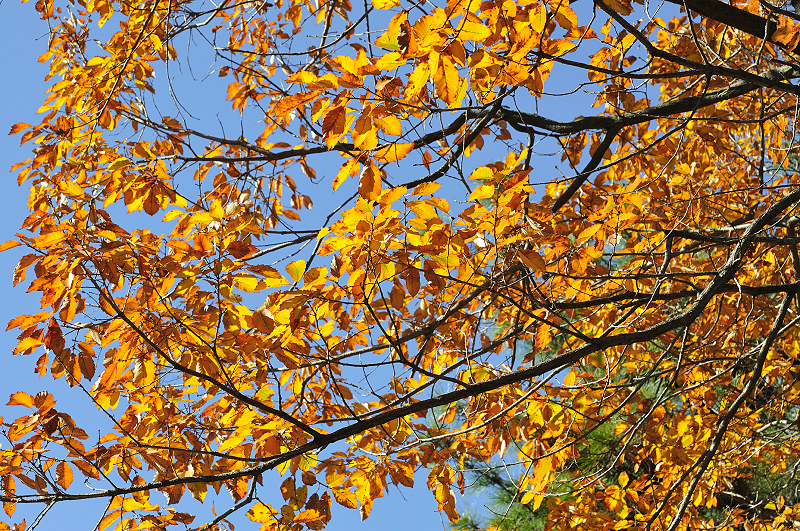 image0227