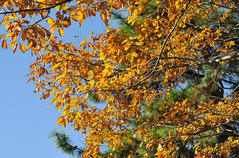 image0228