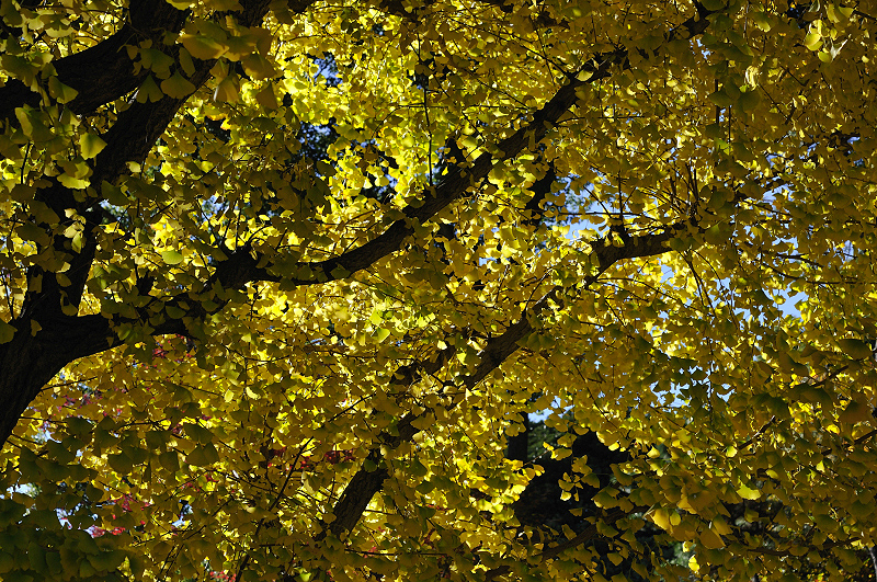 image0231