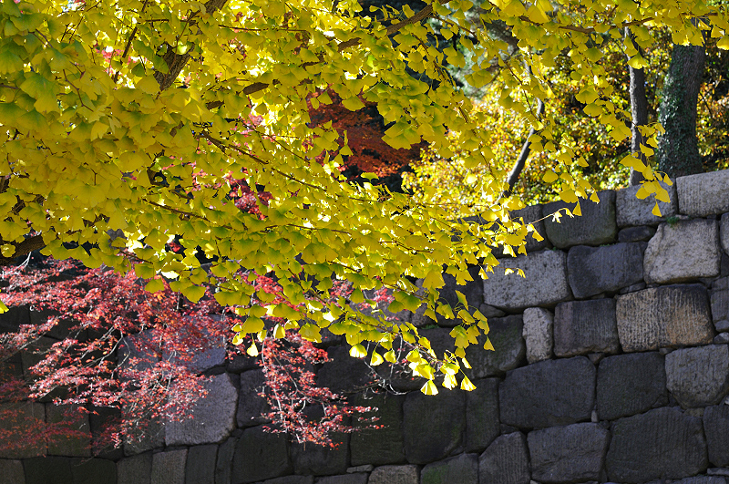 image0232