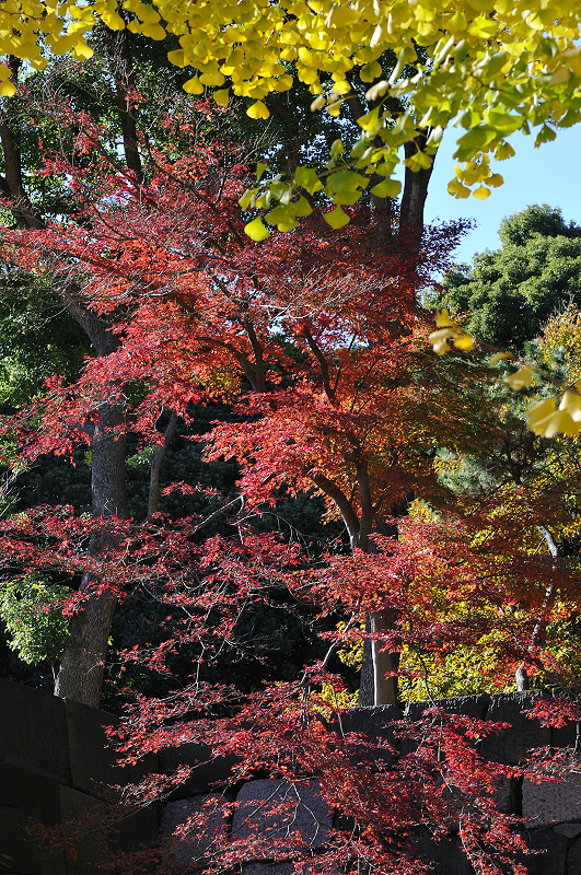 image0233