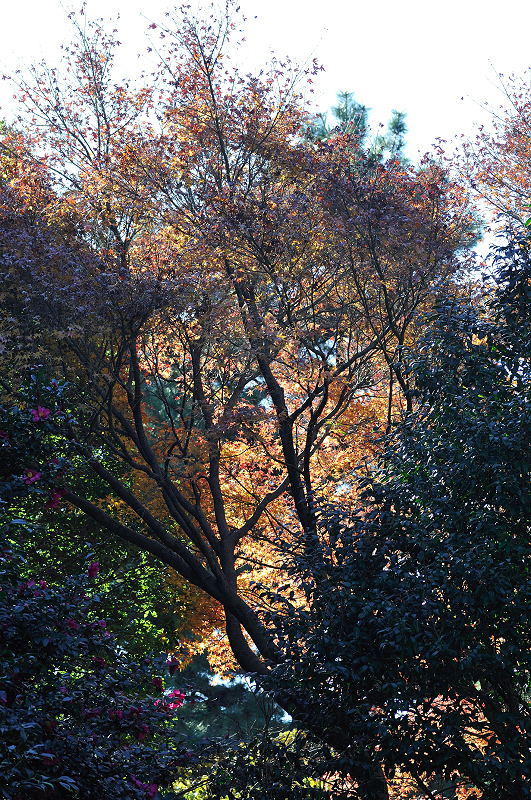 image0242