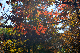 image0195
