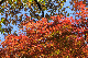 image0210