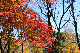 image0212