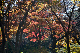 image0213