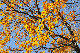 image0226