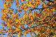 image0227
