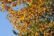 image0228