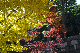 image0230