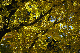 image0231