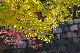 image0232