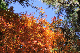 image0234