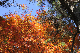image0235