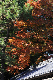 image0236