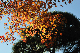 image0241