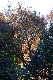 image0242