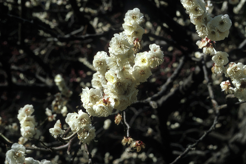 image0023