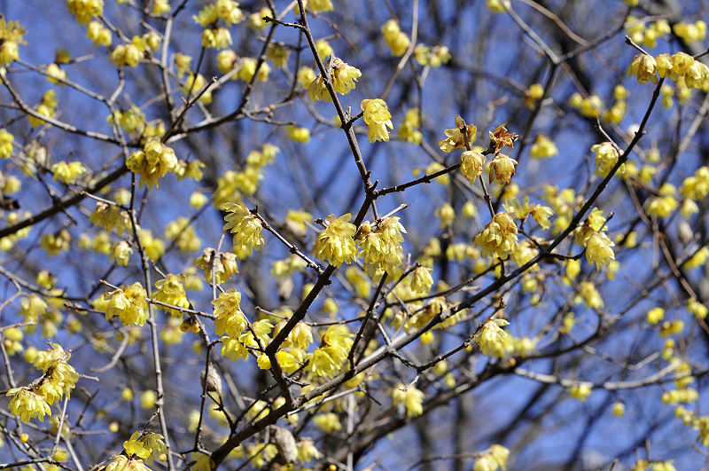 image0122