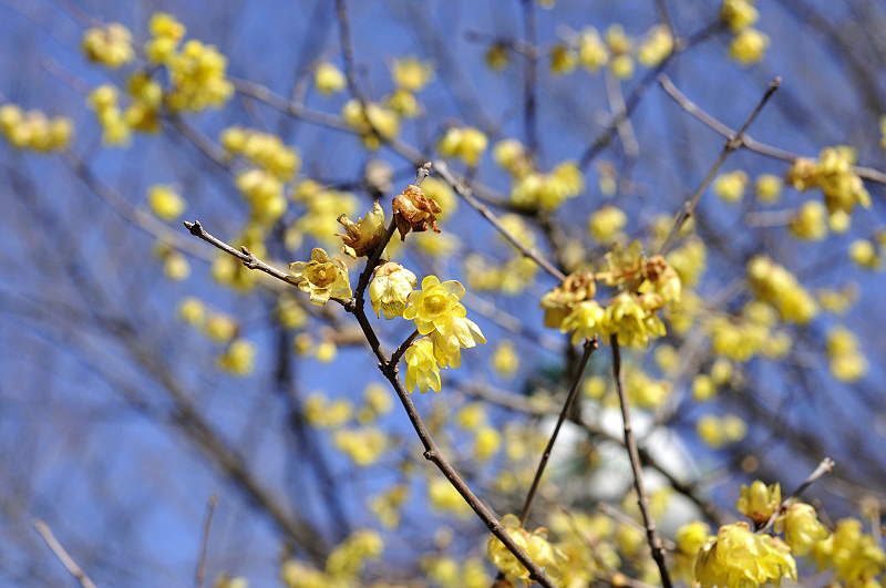 image0127