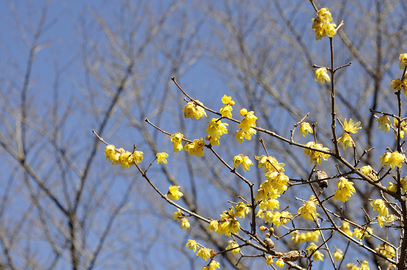image0131