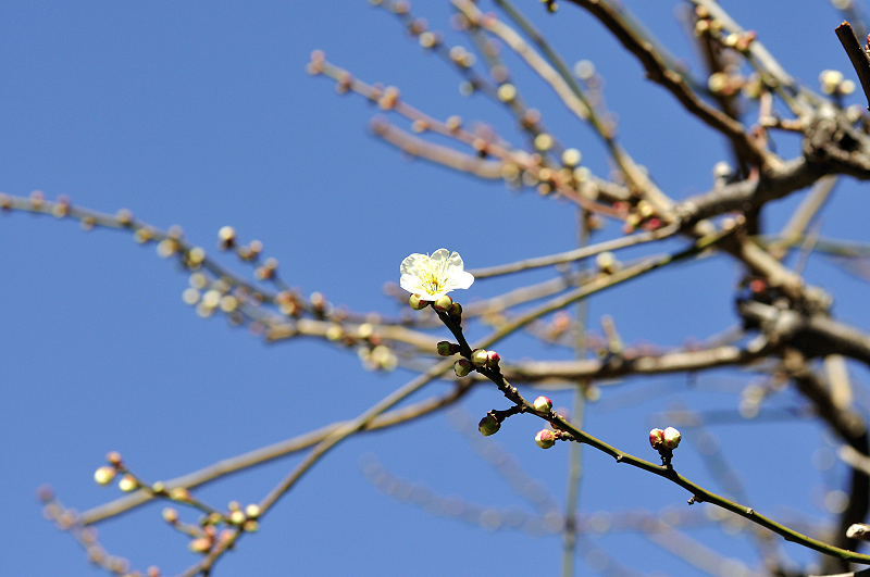 image0133