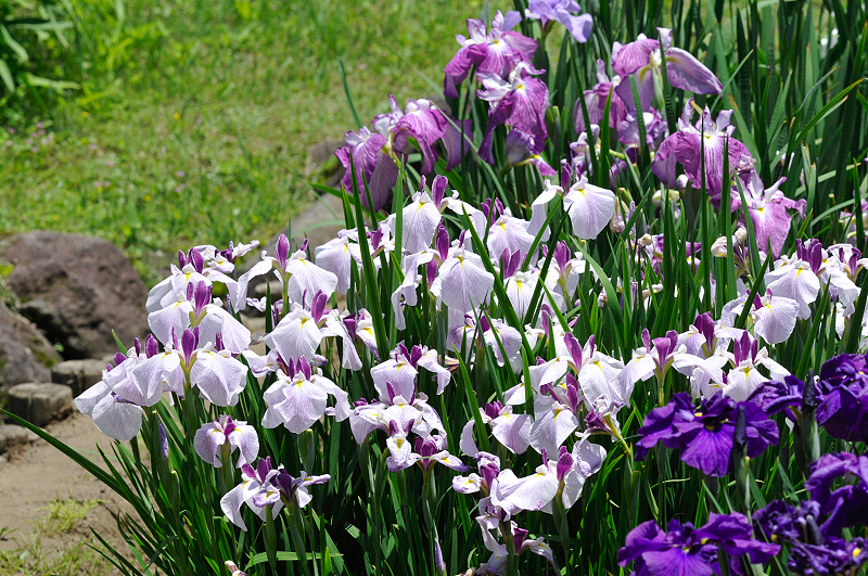 image0111