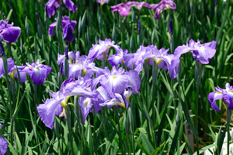 image0116