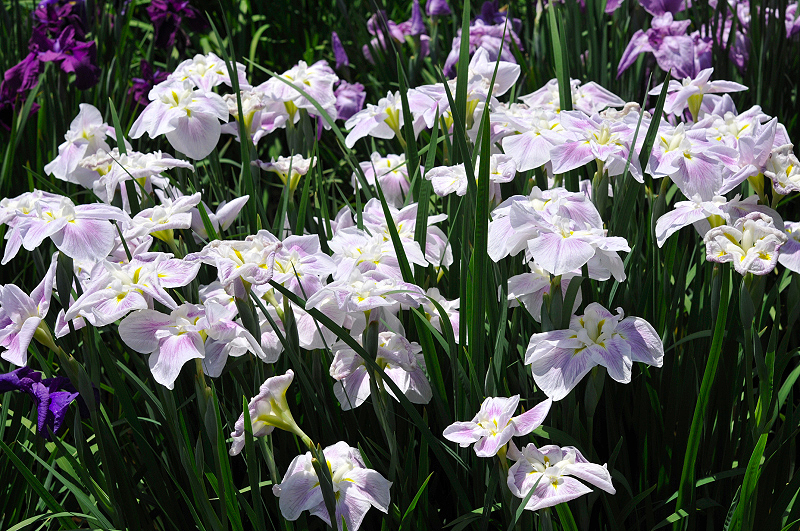 image0122