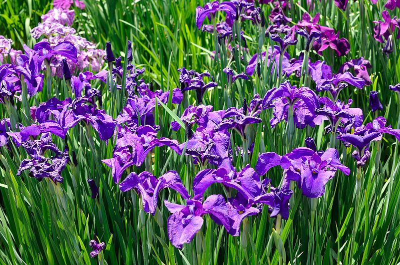 image0123