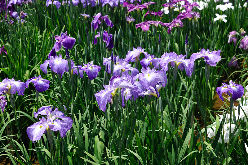 image0124