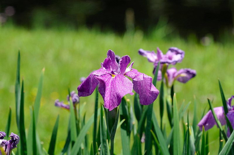 image0157