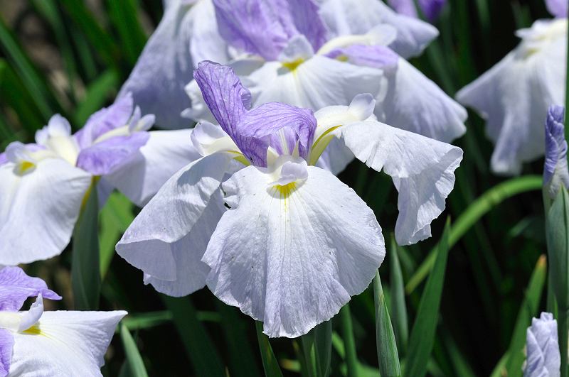image0158