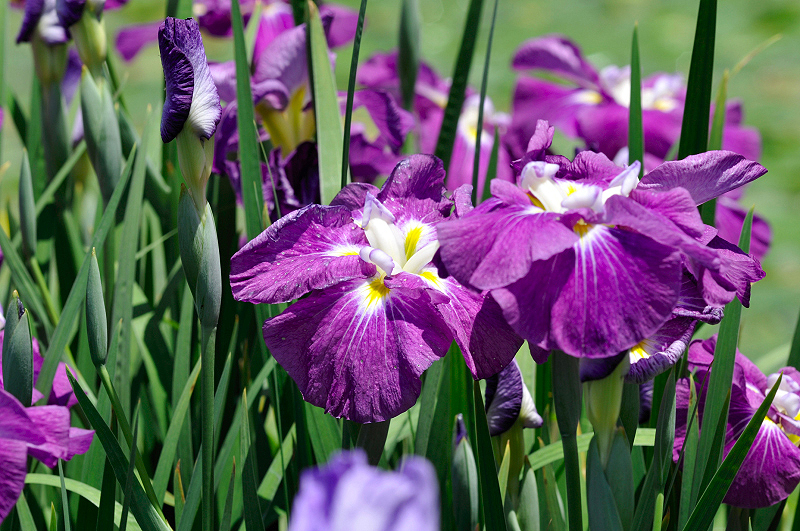 image0159