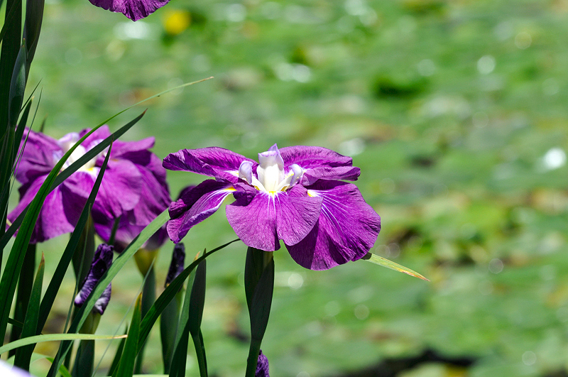 image0160